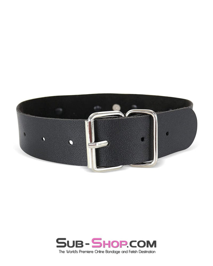 Collar 1635DL      YES SIR Black Slave Collar with Ring Post Hardware