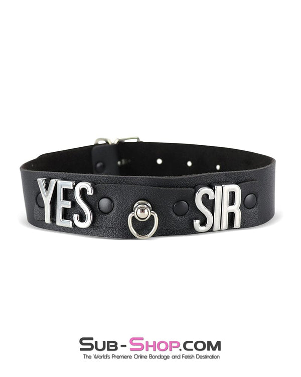 Collar 1635DL      YES SIR Black Slave Collar with Ring Post Hardware