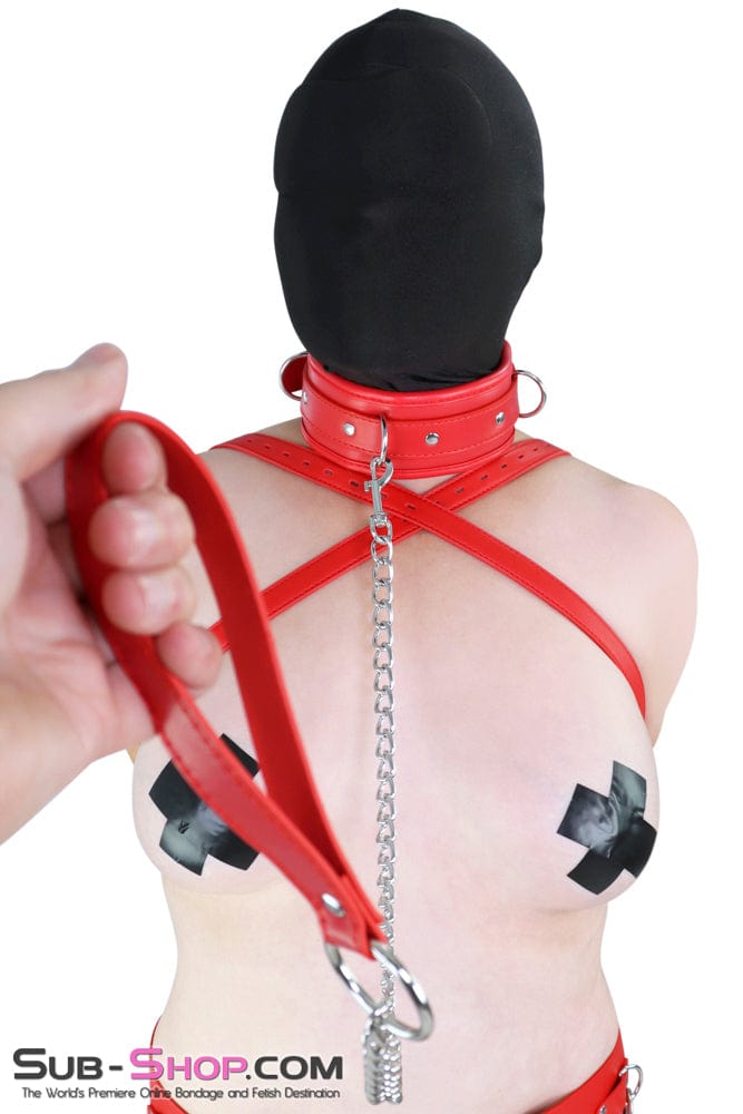 Collar 2497MQ      Locking Padded Red Collar and Leash Set