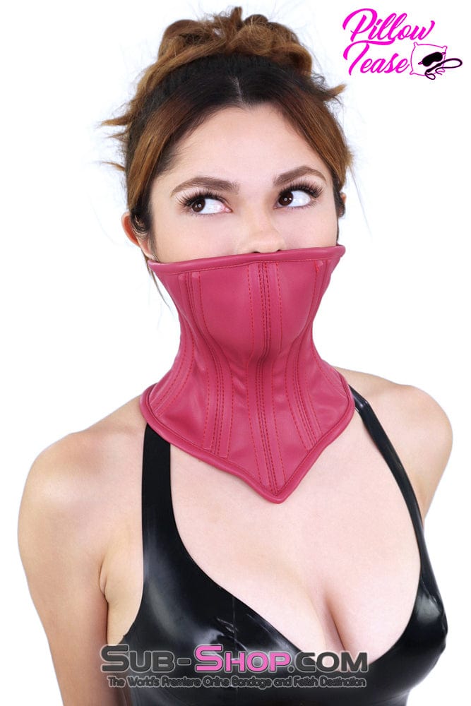 Collar 2544DL      Pink Neck Corset Posture Training Slave Bondage Collar with Mouth Cover