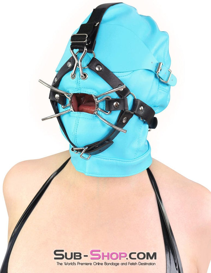 Gags 6900DL      Nose Hook Strict Spider Ring Gag Trainer
