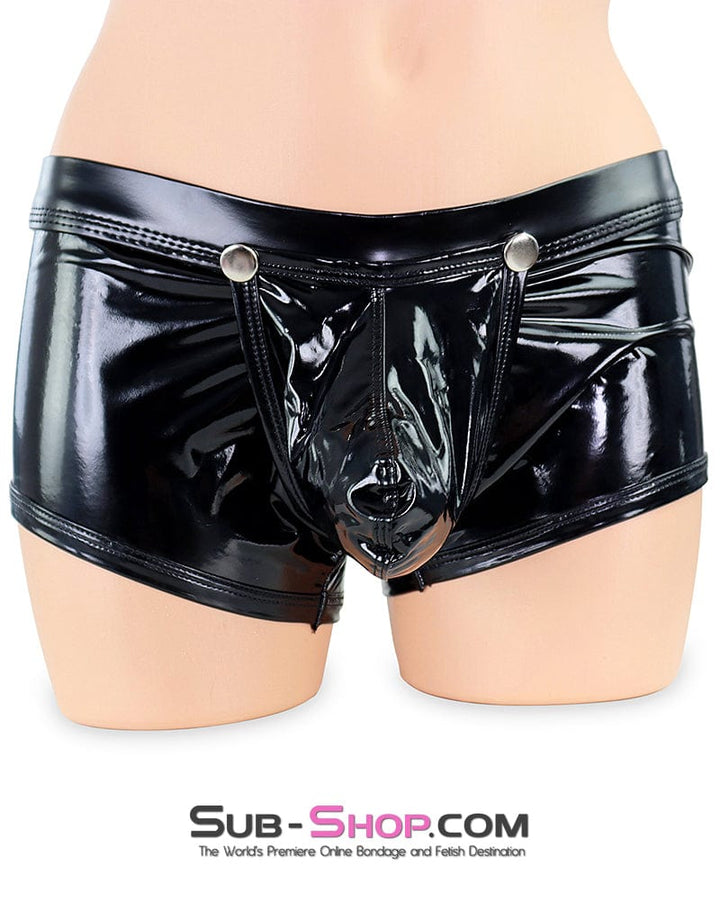 Lingerie 0313M  Sir’s Vinyl Posing Brief with Snap Off Pouch