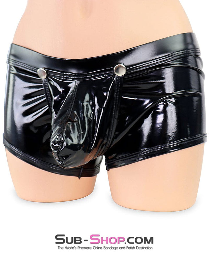Lingerie 0313M  Sir’s Vinyl Posing Brief with Snap Off Pouch