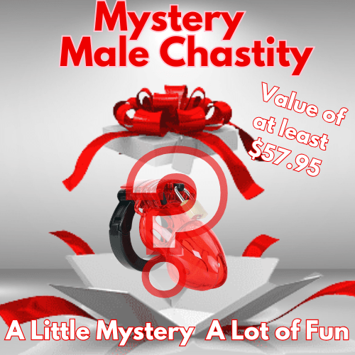 MEGA Deal Mystery Male Chastity