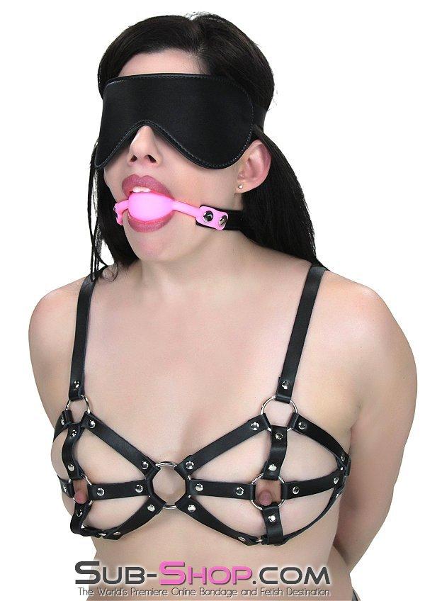 Sissy 0835M-SIS      Pretty Sissy Boy Bondage Slave Locking Sissy Hypnosis Small Riveted Rubber Ballgag, Pink Ball