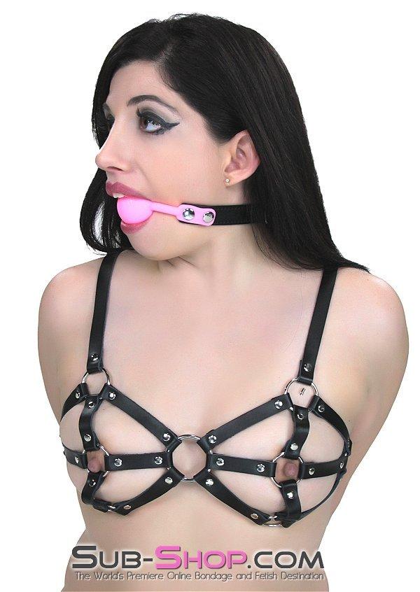 Sissy 0835M-SIS      Pretty Sissy Boy Bondage Slave Locking Sissy Hypnosis Small Riveted Rubber Ballgag, Pink Ball