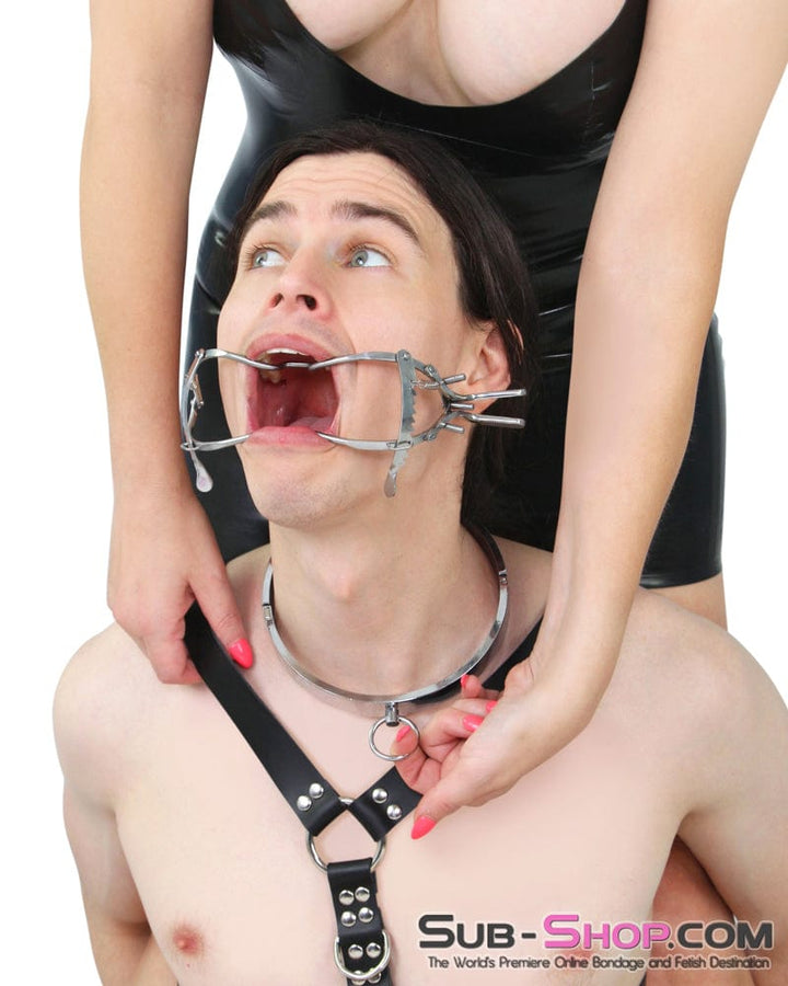 Sissy 3638BD-SIS      Forever My Sissy Love, Feminine Steel Ownership Collar