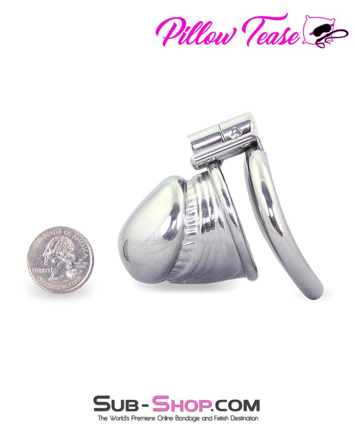 0249AR      Dick Head Steel Male Chastity Cage Device - MEGA Deal MEGA Deal   , Sub-Shop.com Bondage and Fetish Superstore