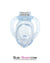 0398AE-SIS      Short Exposed in Chastity High Security Keyed Tumbler Locking Male Chastity with 4 Base Cock Ring Sizes Sissy   , Sub-Shop.com Bondage and Fetish Superstore