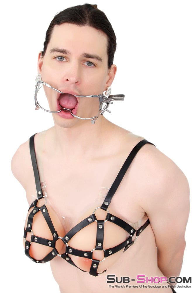 0486S-SIS      Forced Sissy Open Wide Mouth Spreader Sissy   , Sub-Shop.com Bondage and Fetish Superstore