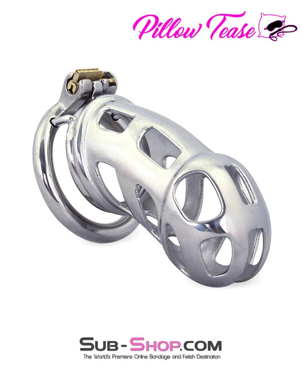 0718AR      Rock Hard Locking Steel Male Teasing Chastity Cage - MEGA Deal MEGA Deal   , Sub-Shop.com Bondage and Fetish Superstore