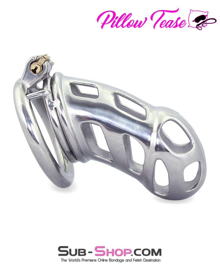 0718AR      Rock Hard Locking Steel Male Teasing Chastity Cage - MEGA Deal MEGA Deal   , Sub-Shop.com Bondage and Fetish Superstore
