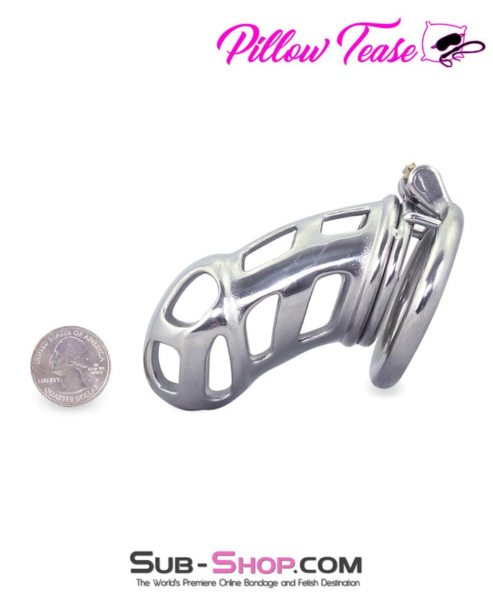 0718AR      Rock Hard Locking Steel Male Teasing Chastity Cage - MEGA Deal MEGA Deal   , Sub-Shop.com Bondage and Fetish Superstore