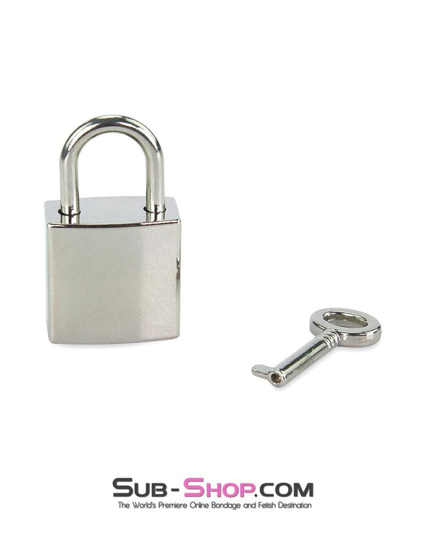 0796AE      Sub-Shop Chrome Bondage Gear Padlock Padlock   , Sub-Shop.com Bondage and Fetish Superstore
