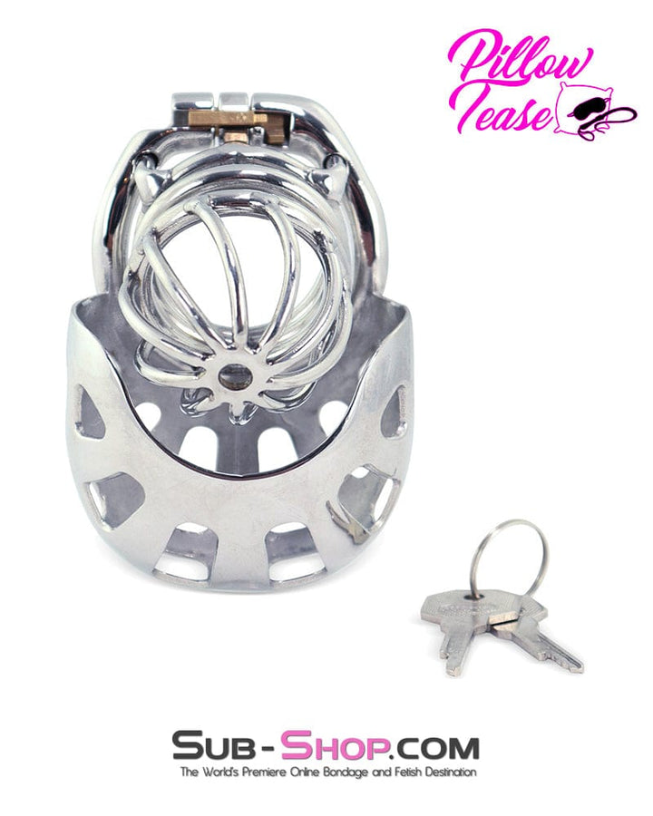 0974AR-SIS      Steel Ball Trap Wire Mesh Teasing Sissy Cock Cage Chastity Sissy   , Sub-Shop.com Bondage and Fetish Superstore