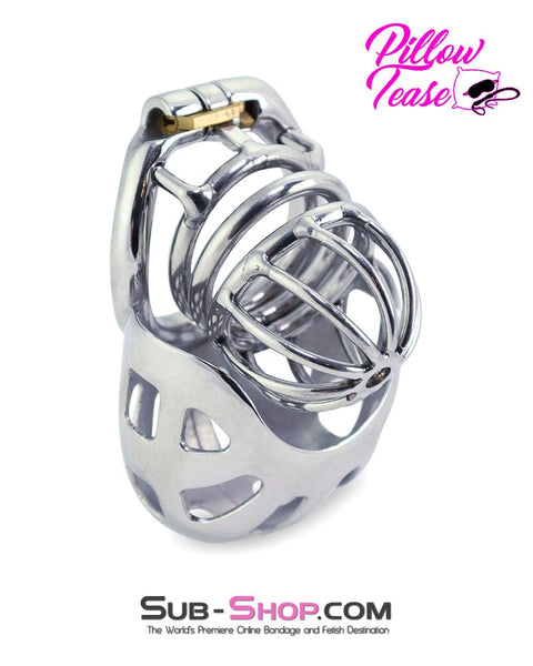 0974AR-SIS      Steel Ball Trap Wire Mesh Teasing Sissy Cock Cage Chastity Sissy   , Sub-Shop.com Bondage and Fetish Superstore
