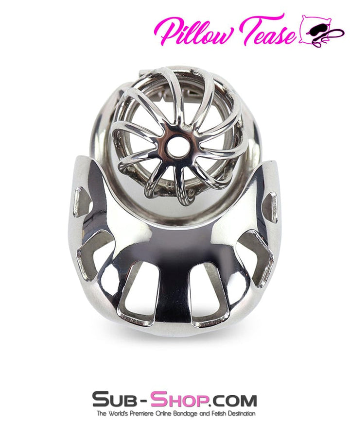 0974AR-SIS      Steel Ball Trap Wire Mesh Teasing Sissy Cock Cage Chastity Sissy   , Sub-Shop.com Bondage and Fetish Superstore