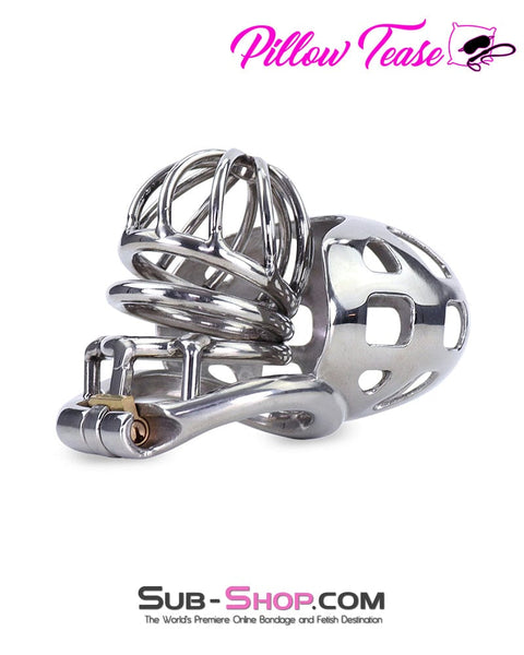 0974AR-SIS      Steel Ball Trap Wire Mesh Teasing Sissy Cock Cage Chastity Sissy   , Sub-Shop.com Bondage and Fetish Superstore