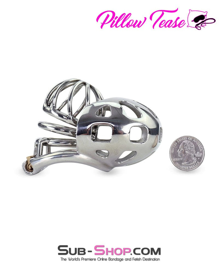 0974AR-SIS      Steel Ball Trap Wire Mesh Teasing Sissy Cock Cage Chastity Sissy   , Sub-Shop.com Bondage and Fetish Superstore