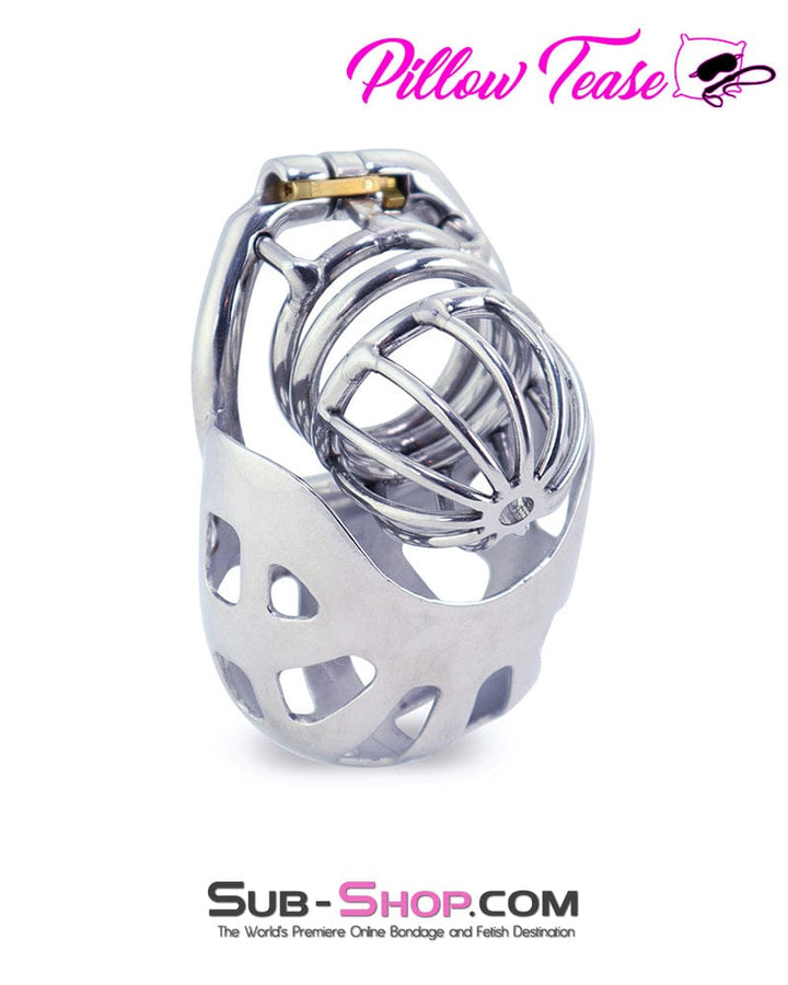 0995AR      Balls and All Full Coverage Locking Steel Chastity Device, 2" Cock Ring Chastity   , Sub-Shop.com Bondage and Fetish Superstore