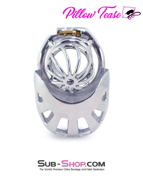 0995AR      Balls and All Full Coverage Locking Steel Chastity Device, 2" Cock Ring Chastity   , Sub-Shop.com Bondage and Fetish Superstore