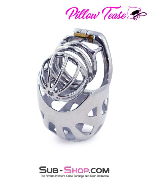 0995AR      Balls and All Full Coverage Locking Steel Chastity Device, 2" Cock Ring - MEGA Deal MEGA Deal   , Sub-Shop.com Bondage and Fetish Superstore