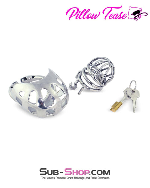 0995AR      Balls and All Full Coverage Locking Steel Chastity Device, 2" Cock Ring Chastity   , Sub-Shop.com Bondage and Fetish Superstore