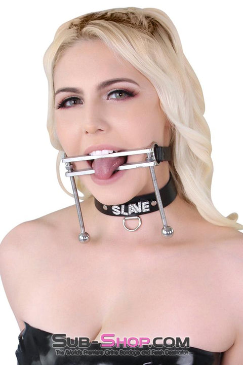 1323M      Tongue Flail Stainless Steel Locking Open Mouth Tongue Trap Gag Gags   , Sub-Shop.com Bondage and Fetish Superstore