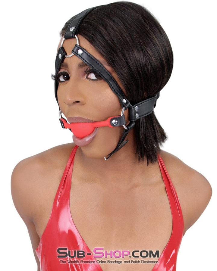 1356M      Premium Hush Red Silicone Ball Gag Harness Gags   , Sub-Shop.com Bondage and Fetish Superstore