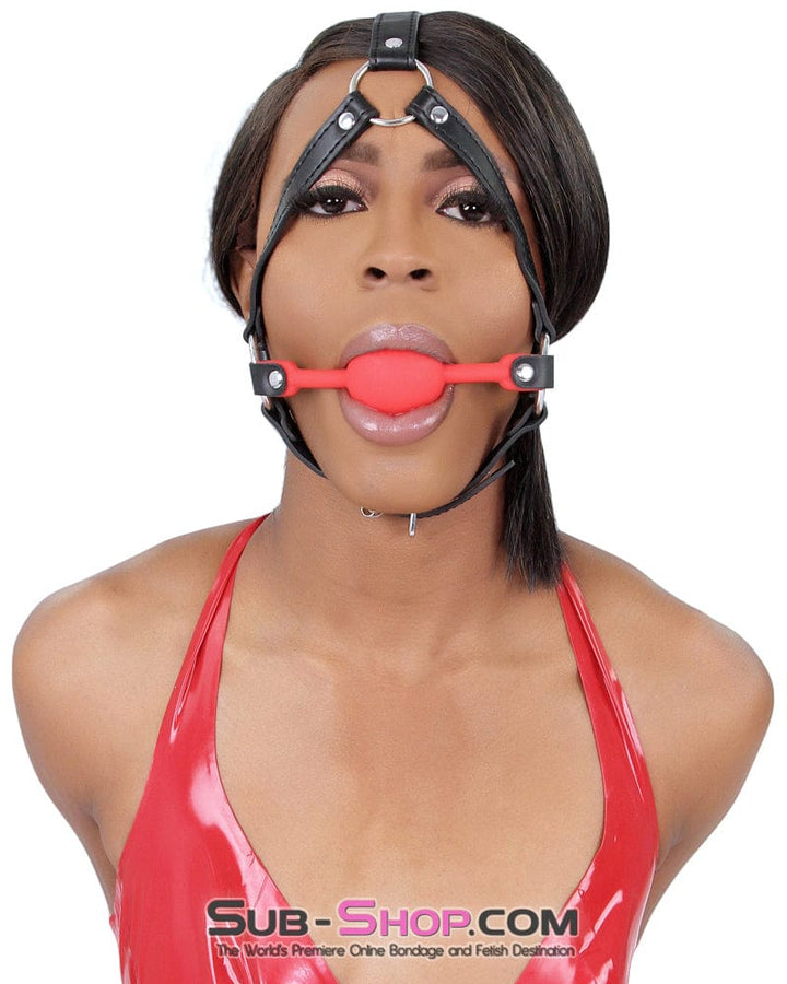 1356M      Premium Hush Red Silicone Ball Gag Harness Gags   , Sub-Shop.com Bondage and Fetish Superstore