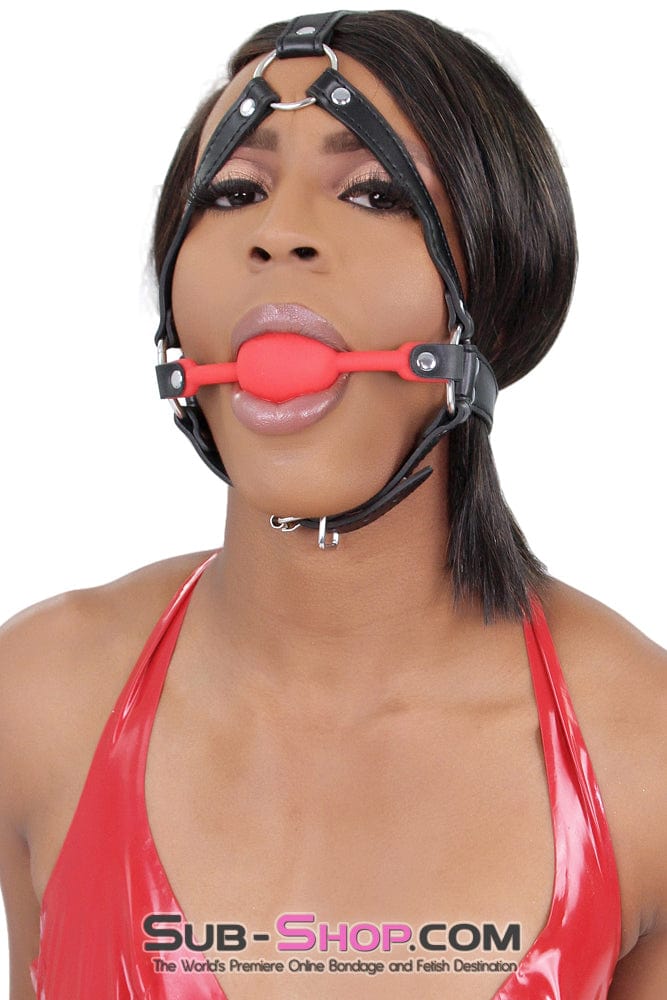 0513B Santa's Sleigh of Kinky Delights Bundle Bundles , Sub-Shop.com Bondage and Fetish Superstore