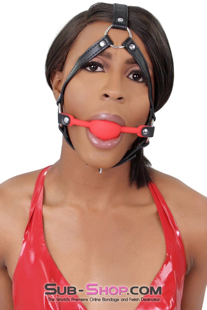 1356M      Premium Hush Red Silicone Ball Gag Harness Gags   , Sub-Shop.com Bondage and Fetish Superstore