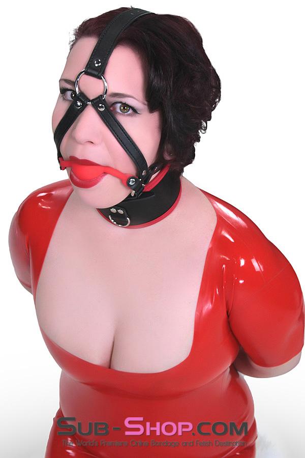 1356M      Premium Hush Red Silicone Ball Gag Harness Gags   , Sub-Shop.com Bondage and Fetish Superstore