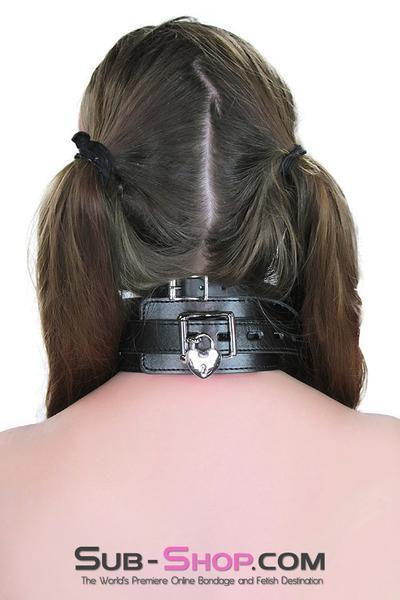 1371DL      Locking Leatherette Collar and Leash Set - LAST CHANCE - Final Closeout! MEGA Deal   , Sub-Shop.com Bondage and Fetish Superstore