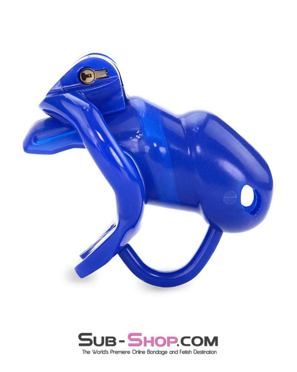 1386AR-SIS      Sissy Cocktease Blue Balls High Security Locking Male Chastity Device with Ball Divider Sissy   , Sub-Shop.com Bondage and Fetish Superstore