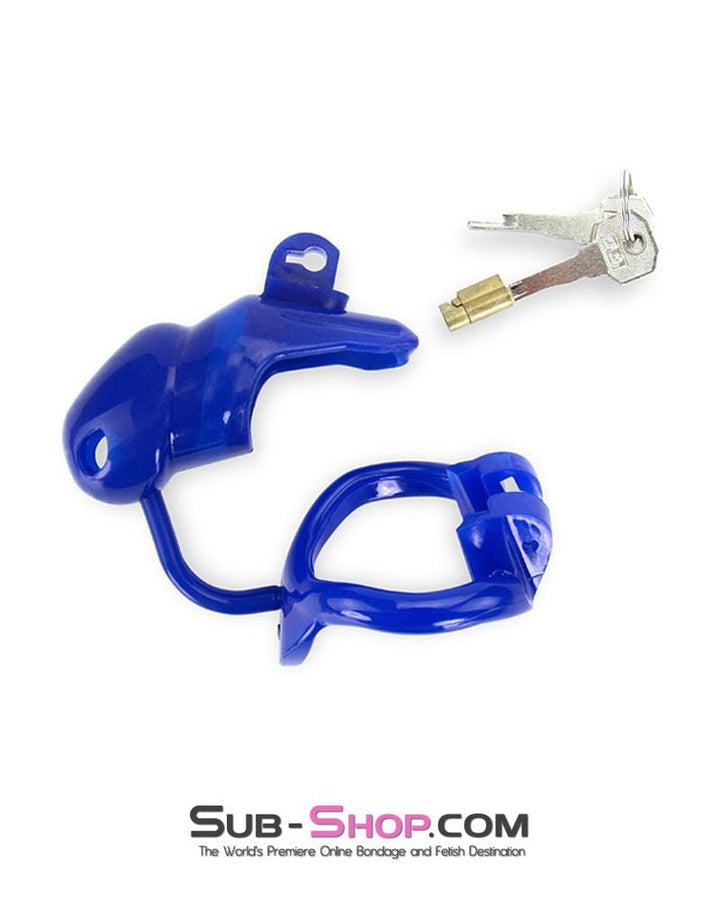 1386AR-SIS      Sissy Cocktease Blue Balls High Security Locking Male Chastity Device with Ball Divider Sissy   , Sub-Shop.com Bondage and Fetish Superstore