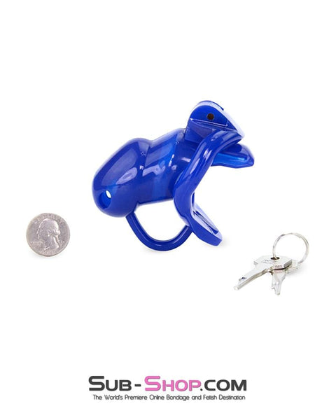 1386AR-SIS      Sissy Cocktease Blue Balls High Security Locking Male Chastity Device with Ball Divider Sissy   , Sub-Shop.com Bondage and Fetish Superstore