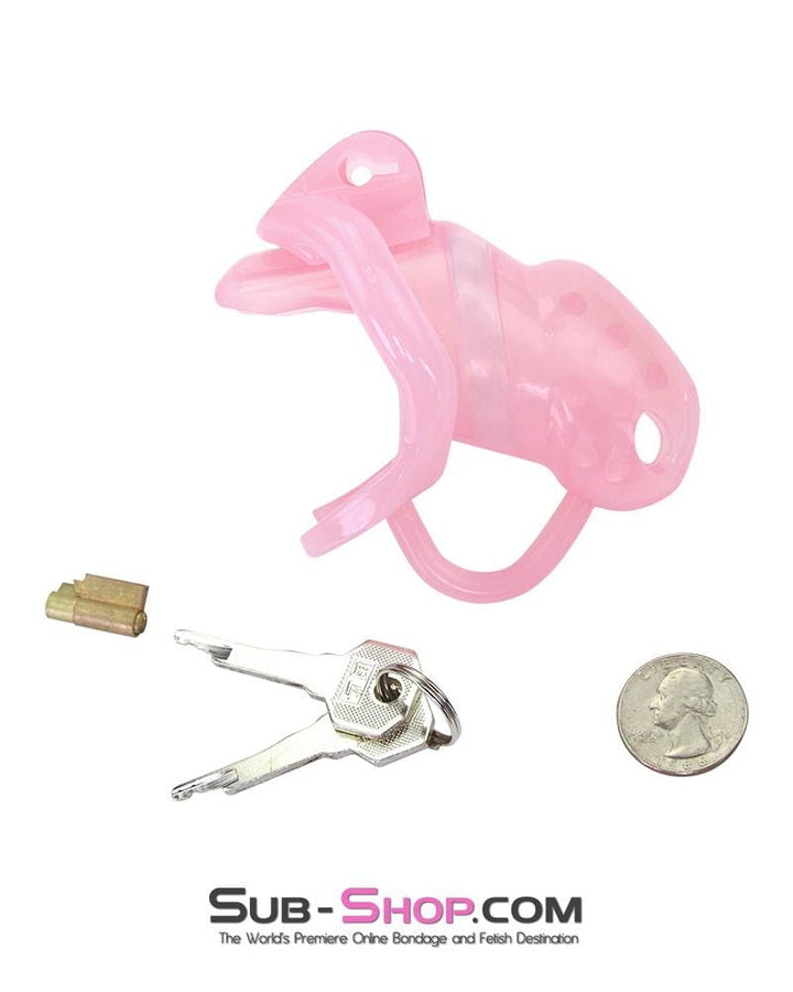 1391AR      Spiked Sissy Cock Blocker Silicone Locking Male Chastity with Ball Divider Chastity   , Sub-Shop.com Bondage and Fetish Superstore