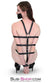 1403DL      Body Harness and Armbinder Bondage Set Combination - MEGA Deal MEGA Deal   , Sub-Shop.com Bondage and Fetish Superstore
