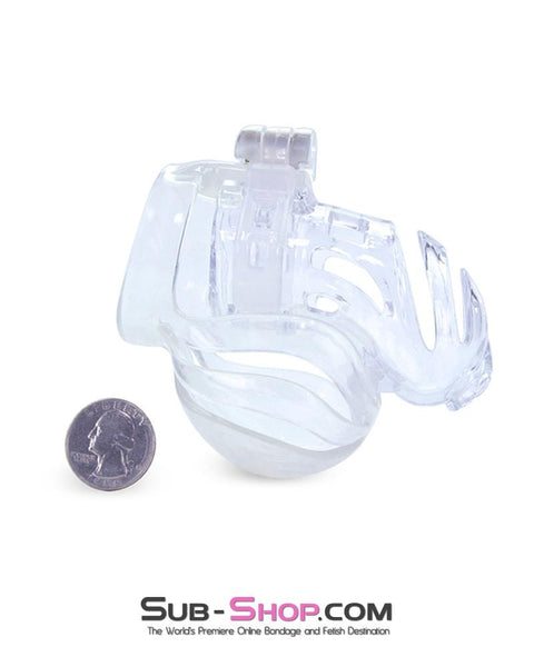 1414AR      The Vortex Clear Full Cock and Ball Enclosure High Security Locking Cock Tease Cage Chastity Chastity   , Sub-Shop.com Bondage and Fetish Superstore