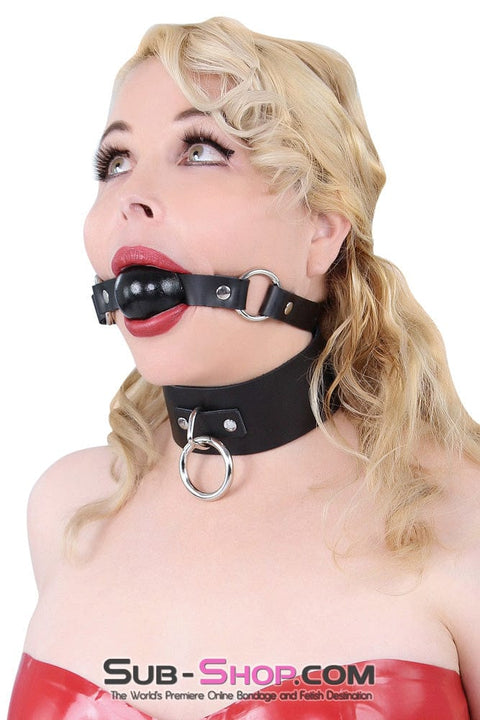 1645A      Dressed for Sex Collar, Black Leather Collar   , Sub-Shop.com Bondage and Fetish Superstore