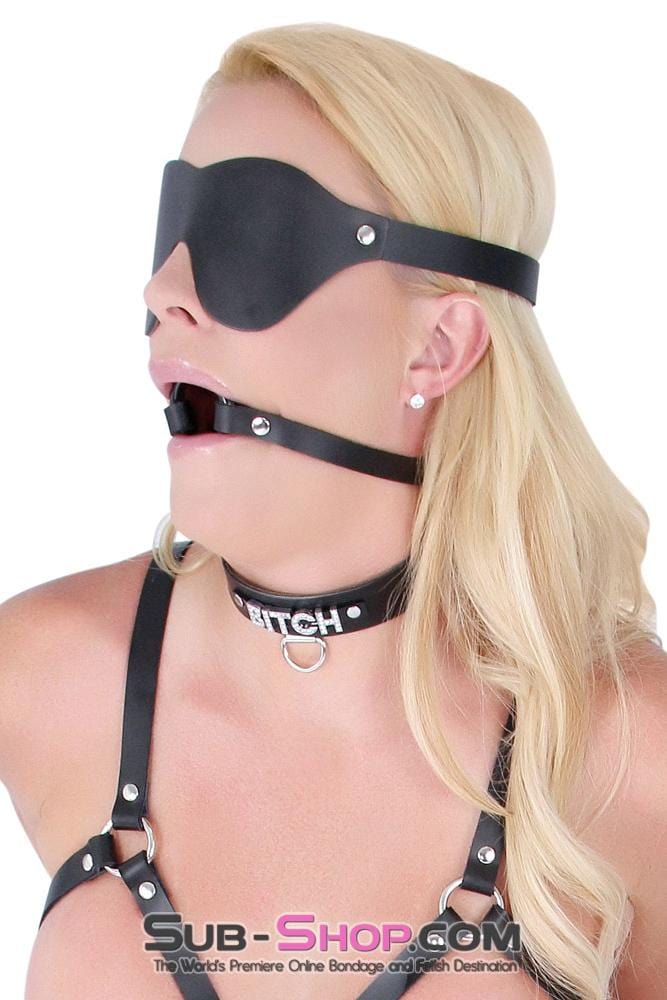 1454A      In The Dark Leather Buckling Blindfold Blindfold   , Sub-Shop.com Bondage and Fetish Superstore