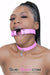 5735RS      Hot Pink Strap Ring Gag - LAST CHANCE - Final Closeout! Black Friday Blowout   , Sub-Shop.com Bondage and Fetish Superstore