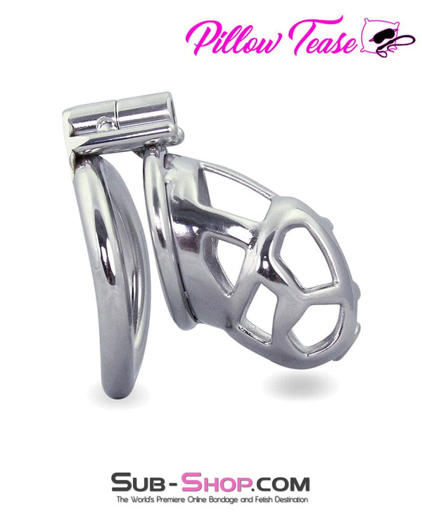 1478AR      Denied in Steel Male Teasing Chastity Cage Chastity   , Sub-Shop.com Bondage and Fetish Superstore