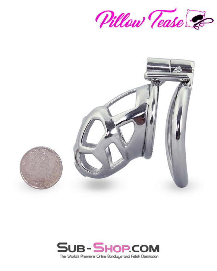 1478AR      Denied in Steel Male Teasing Chastity Cage Chastity   , Sub-Shop.com Bondage and Fetish Superstore
