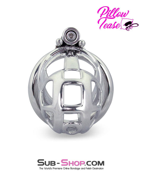 1478AR      Denied in Steel Male Teasing Chastity Cage Chastity   , Sub-Shop.com Bondage and Fetish Superstore