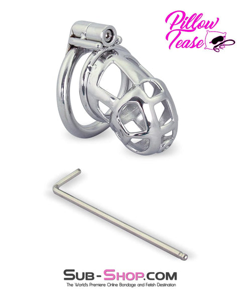 1478AR      Denied in Steel Male Teasing Chastity Cage Chastity   , Sub-Shop.com Bondage and Fetish Superstore