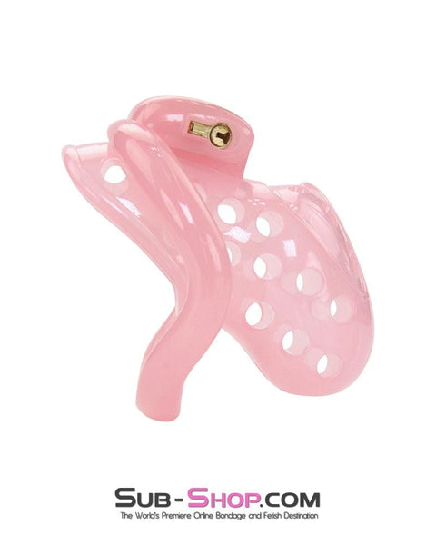 1480AR-SIS      Sissy Boy Toy Pink Short High Security Pin Tumbler Locking Cock Cage Chastity Sissy   , Sub-Shop.com Bondage and Fetish Superstore