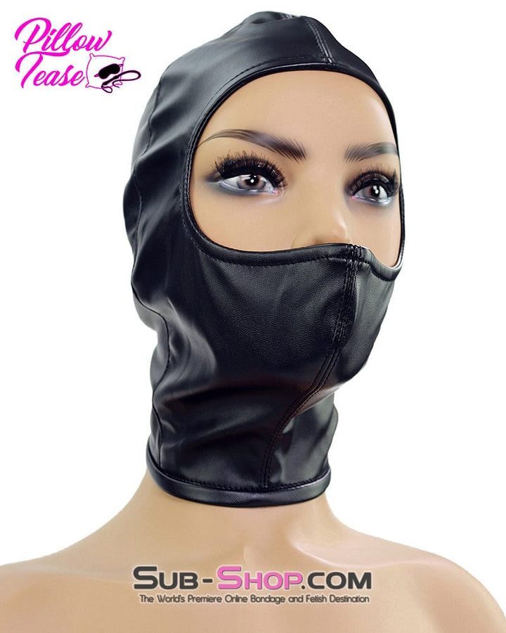 1493DL      Gwen Style Black Open Eyes and Nose Zippered Bondage Hood Hoods   , Sub-Shop.com Bondage and Fetish Superstore
