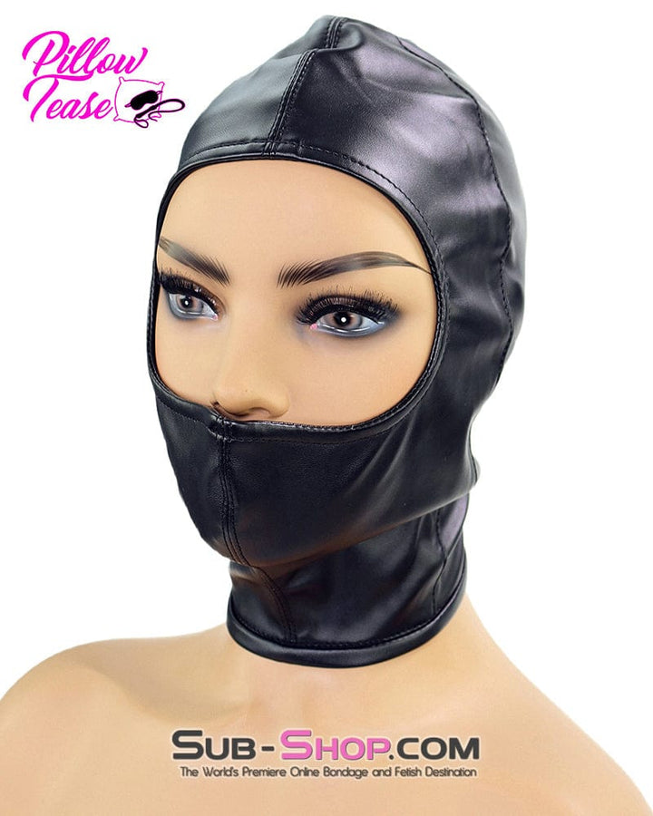 1493DL      Gwen Style Black Open Eyes and Nose Zippered Bondage Hood Hoods   , Sub-Shop.com Bondage and Fetish Superstore